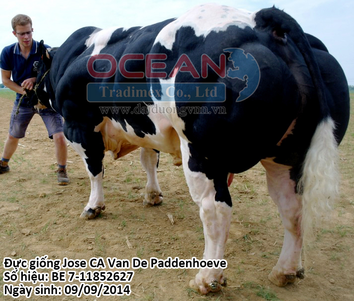 Jose CA Van De Paddenhoeve